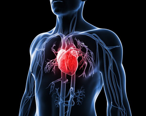 Coronary Artery Calcium: Better Indicator for Cardiovascular Risk?