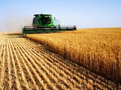 Digging Up the Details on Farming