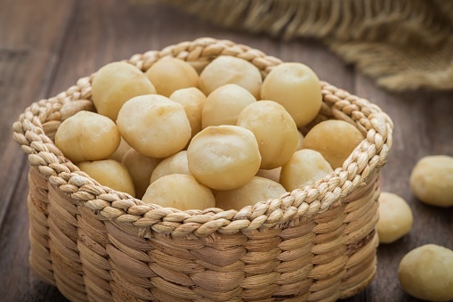 Macadamia Academia