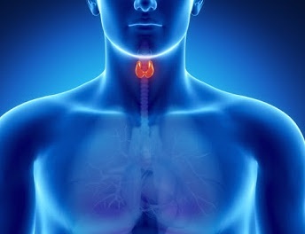 Vitamin A: Underappreciated Role in Thyroid Health