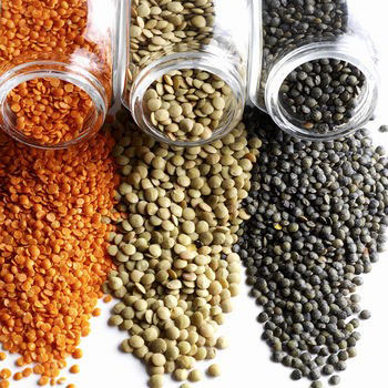 Lentils: The Low-Risk Legume