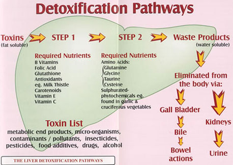 Good ol’ Glutathione – the Antidote to Snake Oil “Detoxes”