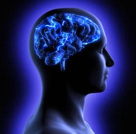 Phosphatidylserine - big name big effects