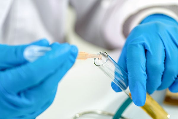 A Deeper Understanding of the CB1 Cannabinoid Receptor