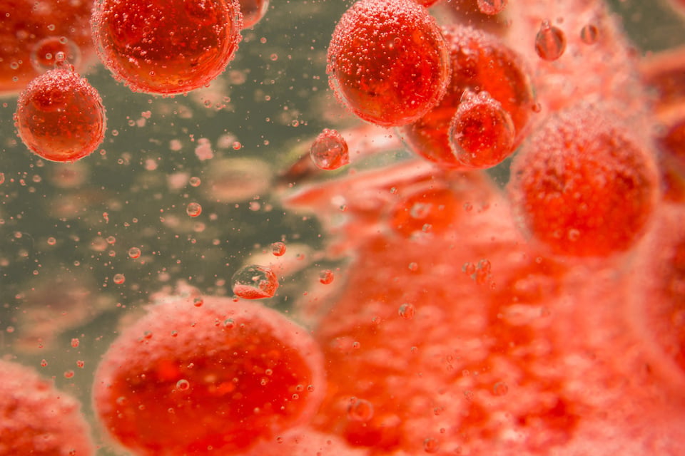 Rhamnan Sulfate to Support the Endothelial Glycocalyx