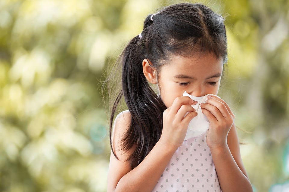 Supporting the Pediatric Allergic Response with Quercetin