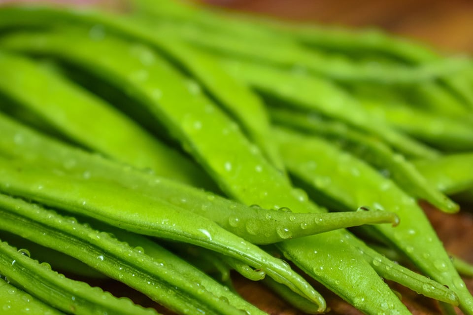 Benefits of Fiber Intake in Children