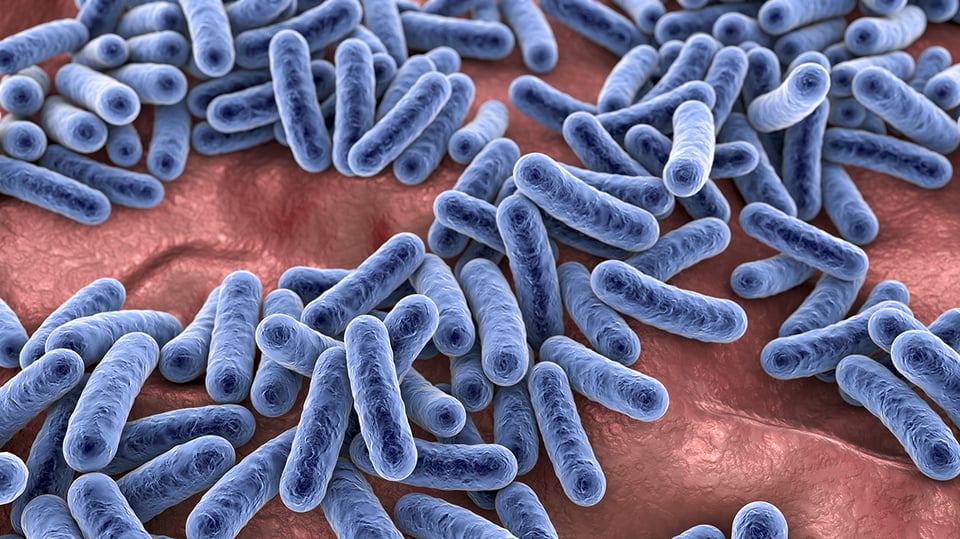 Promoting Immune Health in Children Starts in the Gut