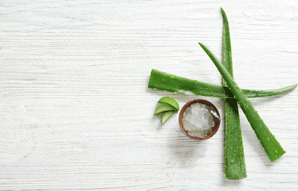 Alternative Applications for Aloe