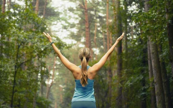 Arabinogalactan – Immune Function Enhancer