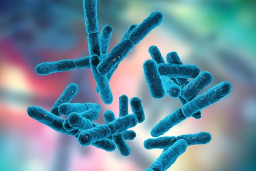 Spotlight on Bifidobacteria