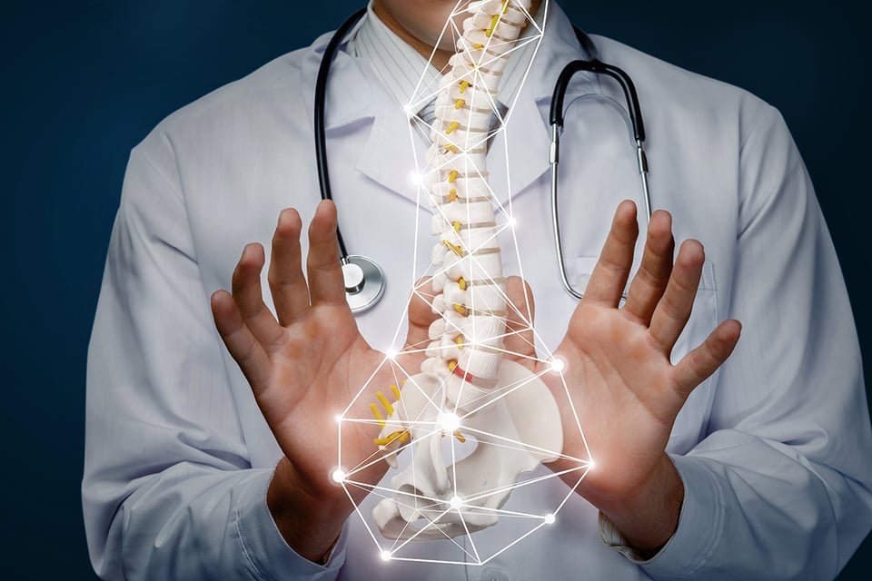 Potential Role of Gut Health in the Management of Musculoskeletal Conditions