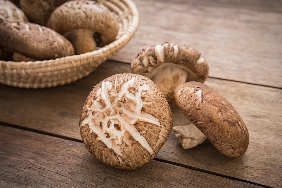 Supporting Health with Shiitake Mushrooms