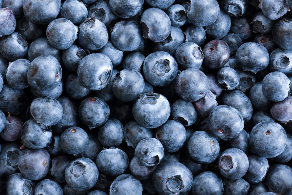 Functional Flavonoids in Blueberries Support Redox Balance