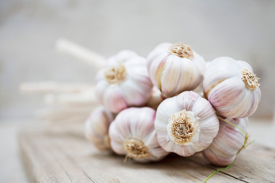 Ajoene: The Health Supportive Bioactive Compound of Garlic
