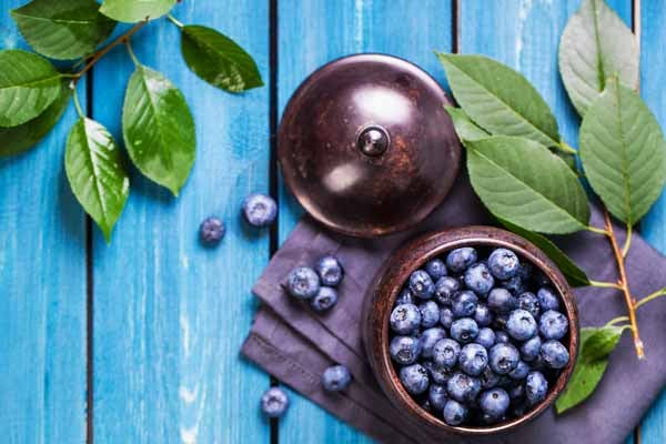 Blueberry Supplementation in Age-Related Cognitive Decline