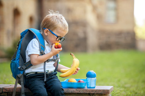 Good Eating Habits in Children