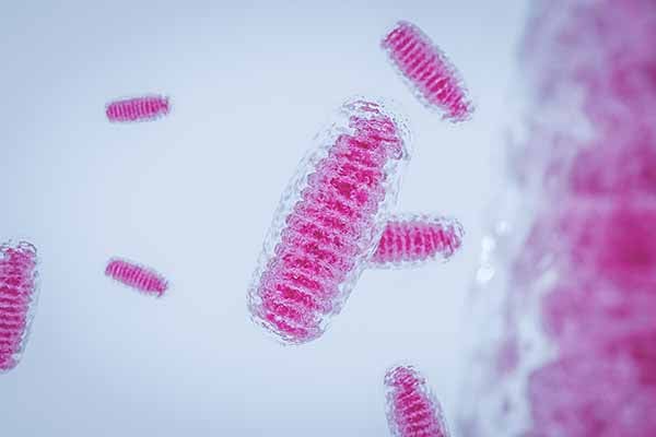 CoQ10 and the Mevalonate Pathway: Mitochondria and Myopathy