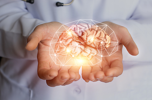 New review shows creatine supplementation affects cognitive processing and traumatic brain injury