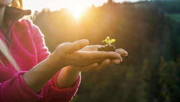 Dig up the dirt on spore-based probiotics