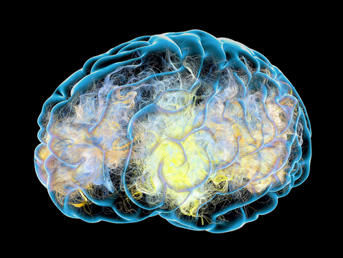 Dopamine Dominance