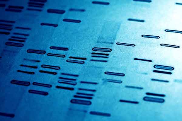 Exploring the Role of Artificial Intelligence in Healthcare
