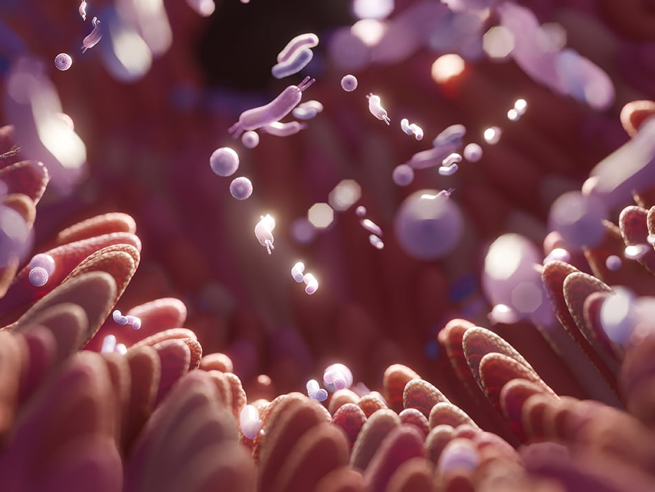 Recent Randomized Crossover Trial Explores the Role of Prebiotics in Individuals With Prediabetes
