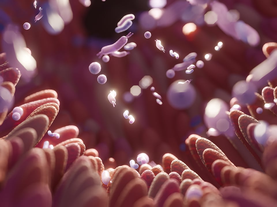 Recent Randomized Controlled Trial Explores Link Between the Gut-Brain Axis and Depression