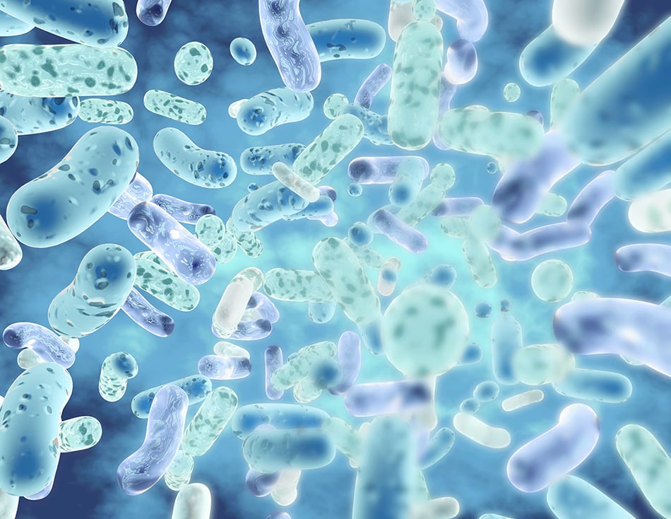 Recent Review Explores Efficacy of SAMe and Probiotics on Mental Health