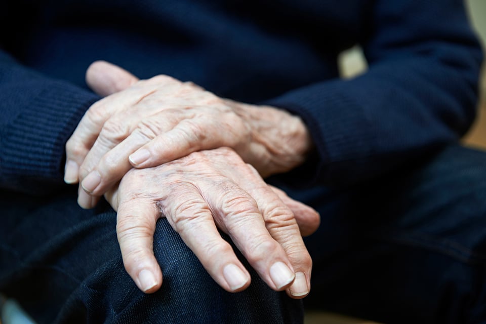 Recent Phase 1 Trial Explores Role of NR to Support Neuronal Health During Aging