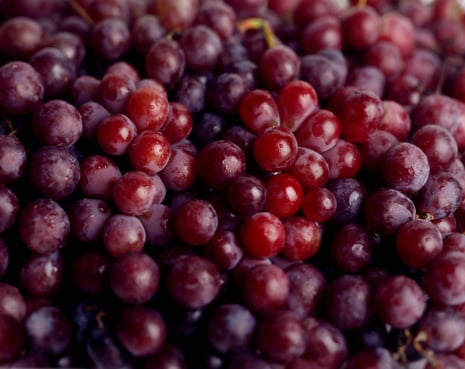 Novel Red Grape Cells Complex Supports Metabolic Health