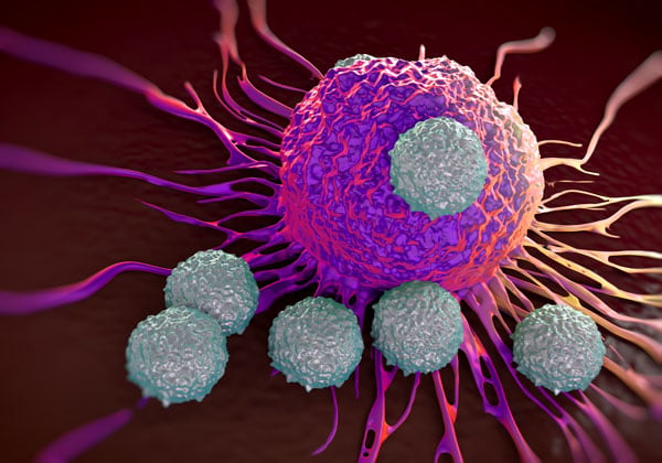 Harnessing the Healing Power of Self through Natural Killer Cells