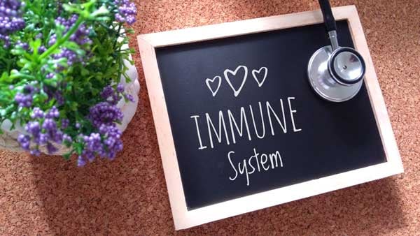 Harnessing the Immune System to support a healthy GI tract