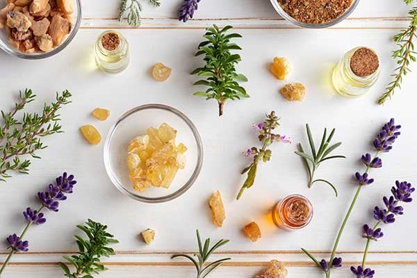 Harnessing the Power of Herbs for Pain