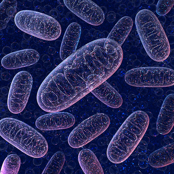 Fueling Mitochondria for Illness Recovery