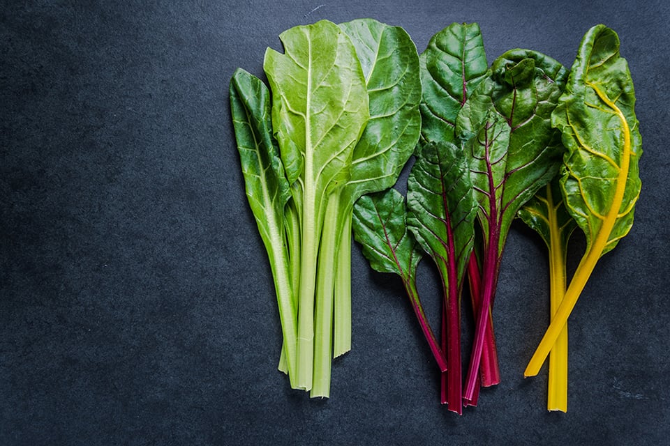 Chloroplasts- Harnessing the Antioxidant Power of Plants