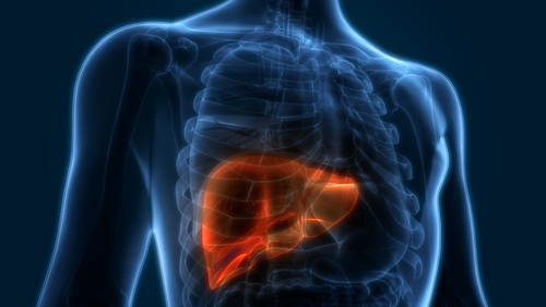 New review demonstrates the role of nutritional supplements in nonalcoholic fatty liver disease