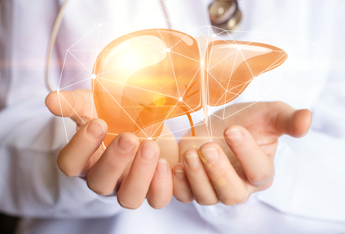 New review shows melatonin supplementation may be a promising adjunct for liver disease