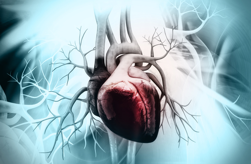 Melatonin supplementation shown to be beneficial for cardiovascular health