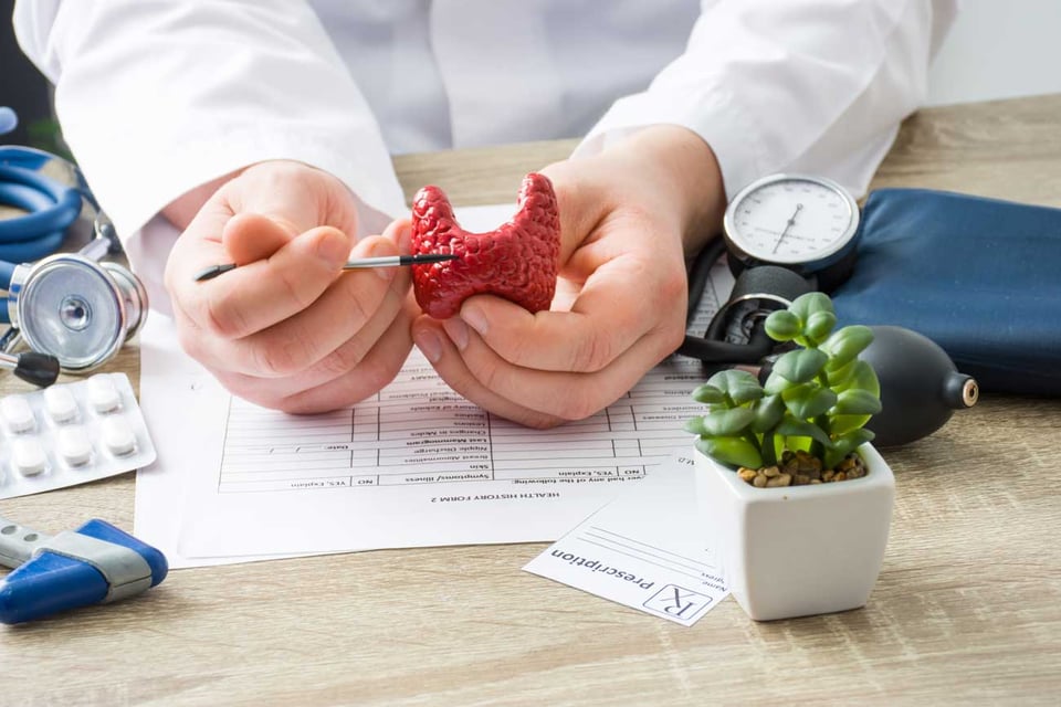 New review demonstrates the role of dietary supplements in thyroid conditions
