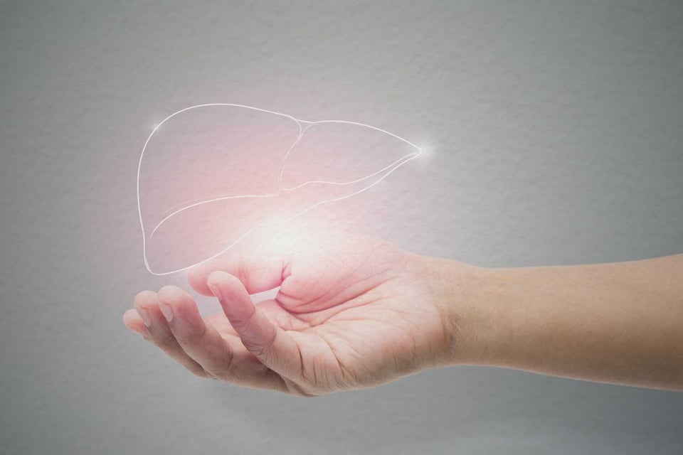 New review demonstrates the role of the gut microbiome and probiotics in nonalcoholic fatty liver disease