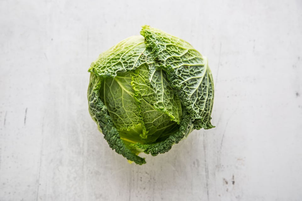 New review investigates the effects of lutein and astaxanthin on cognitive function