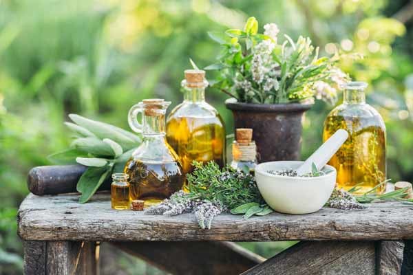 New Study Discovers a Common Mechanism in Hypotensive Herbs