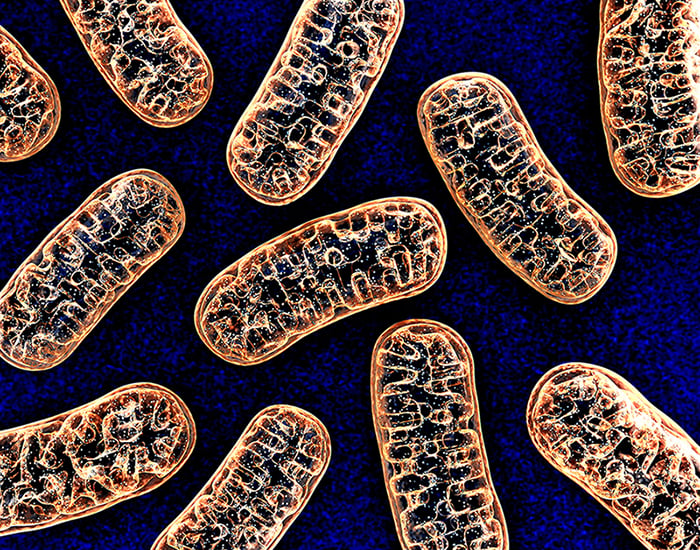 D-Ribose for Cellular Energy Support