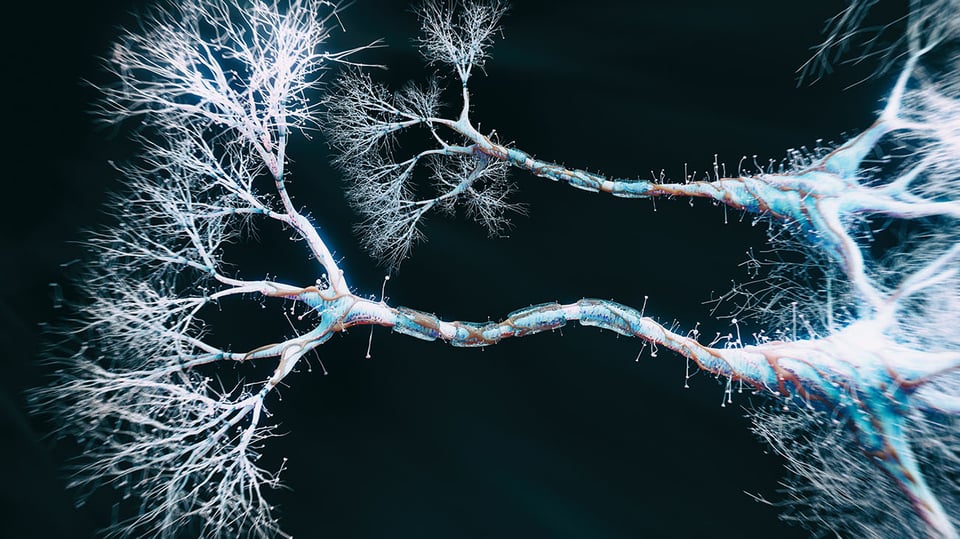 The Latest on Alpha-Lipoic Acid and Blood Sugar Support