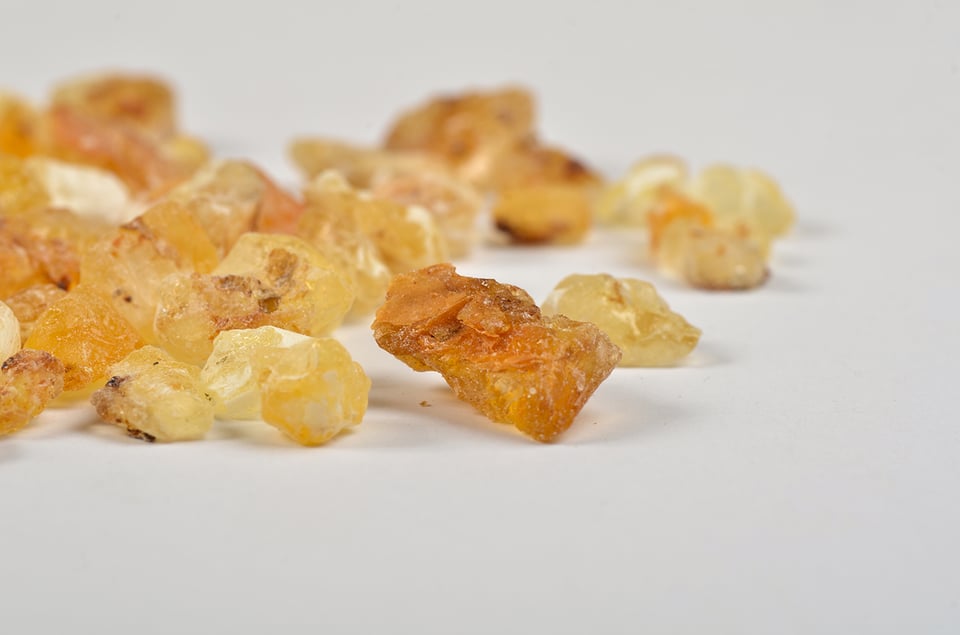 Supporting Musculoskeletal Health With Boswellia