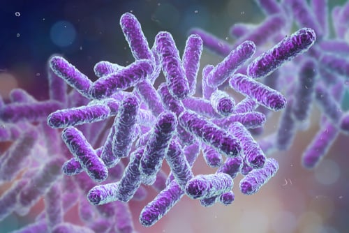 Probiotics – What to Look For