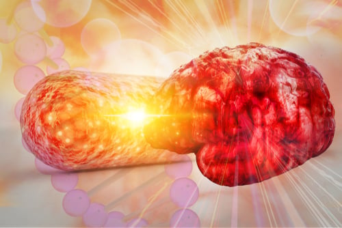 Probiotics and the Vagus Nerve – a New Frontier for Psychiatric Conditions