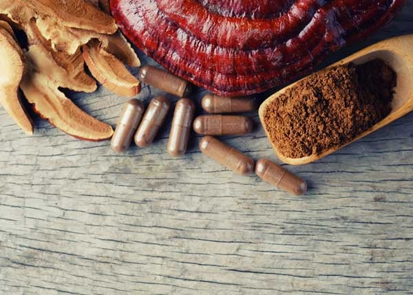 The Surprising Protein Composition of Mushrooms