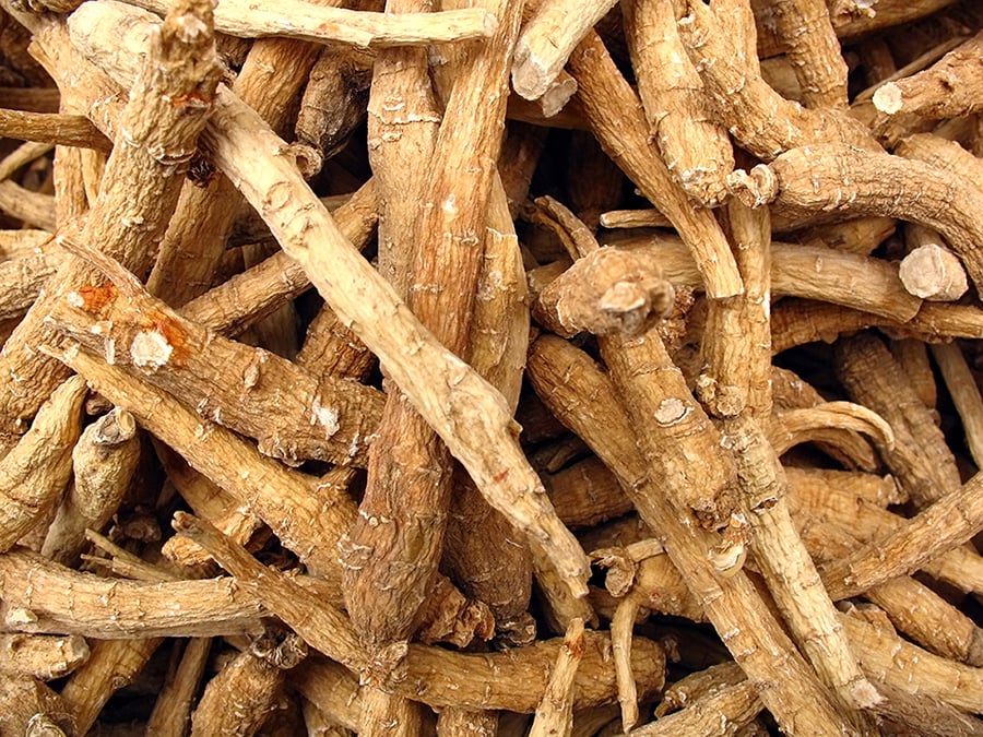 American Ginseng May Support Healthy Glucose Metabolism